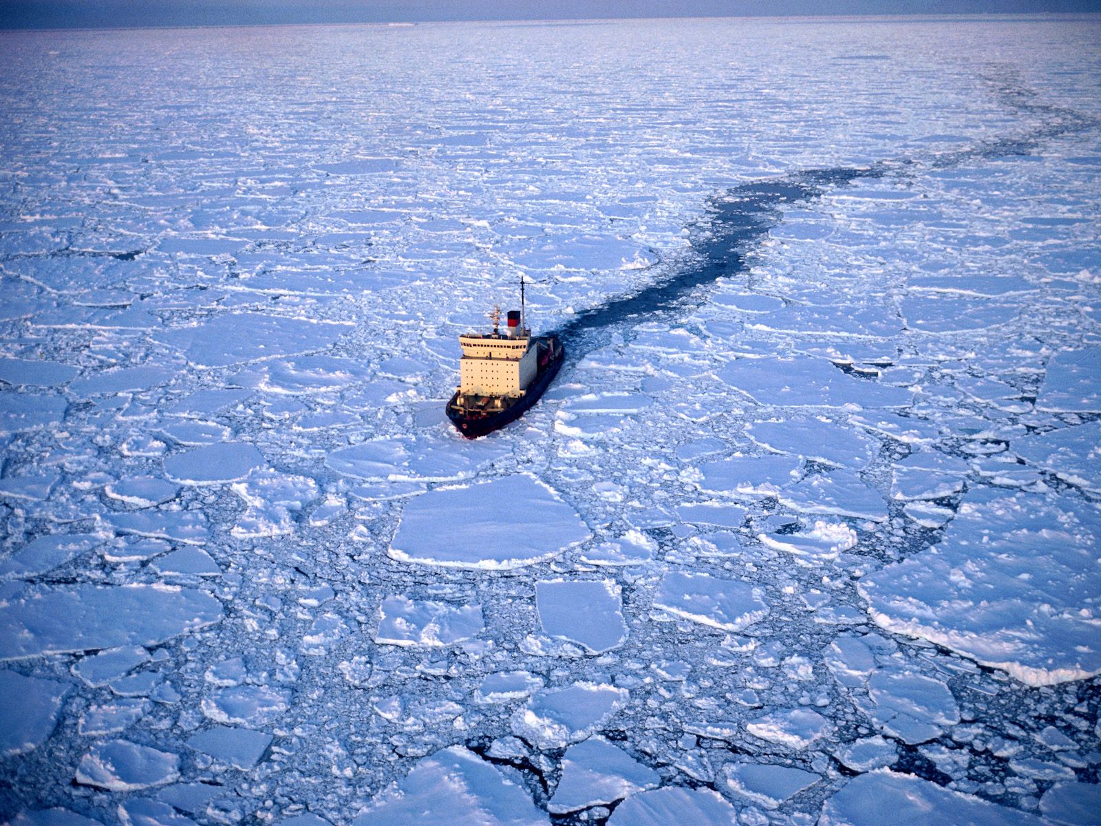 MEPC 70: IMO Moves Towards Arctic Phase Out of World’s Dirtiest Fuel