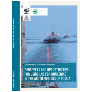 Cover Russian LNG report