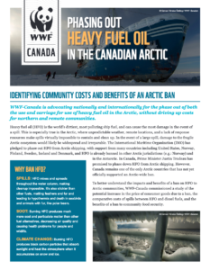 Phasing out Heavy Fuel Oil in the Canadian Arctic