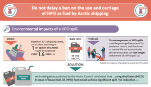 Do not delay a ban on the use and carriage of HFO as fuel by Arctic shipping