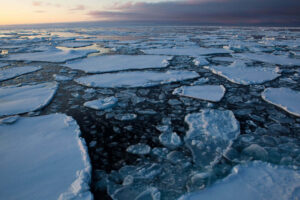 Sea ice in the Arctic, photograph by Dave Walsh davewalshphoto.com