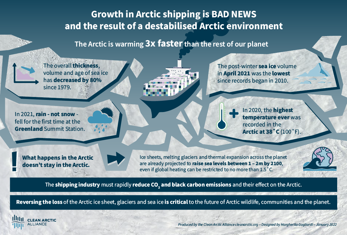 Arctic ship traffic grows, accident toll spikes: report