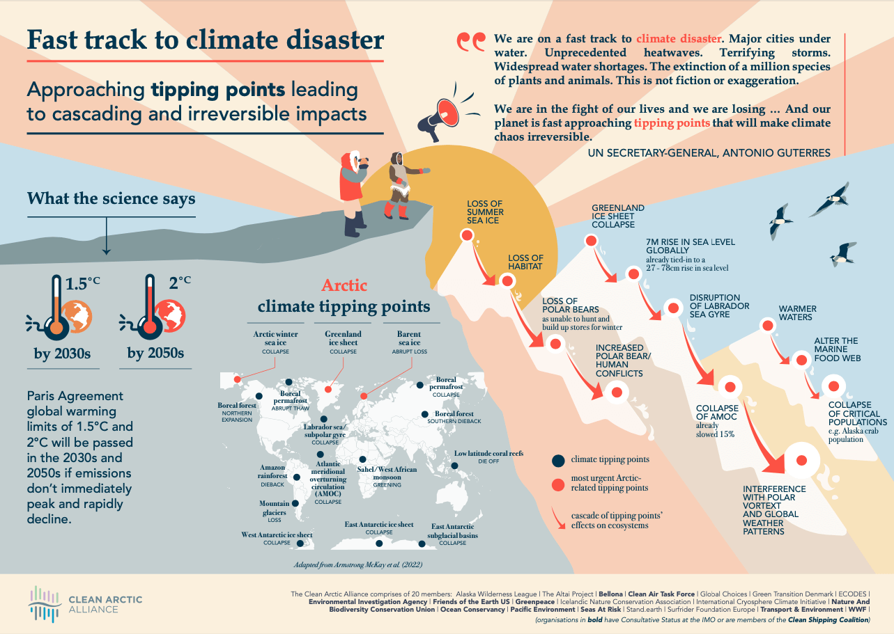 IMO agrees that we can control black carbon emissions from ships