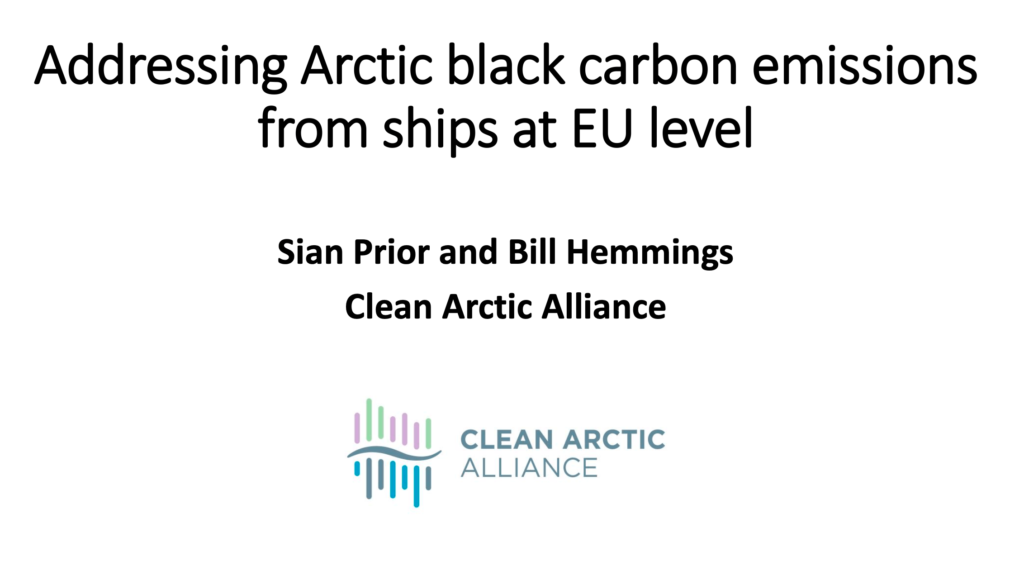 Addressing Arctic black carbon emissions from ships at EU level